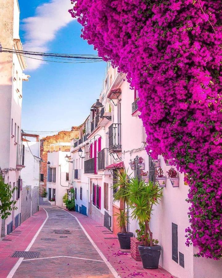 Suite Vitbanus Marbella Dış mekan fotoğraf